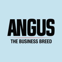 American Angus Association logo
