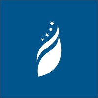 Foundation for Defense of Democracies (FDD) logo