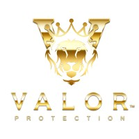 Valor Protection Safety Agency logo